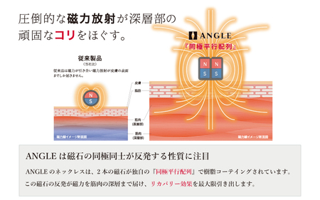 【髙木美帆 着用モデル】アングルe.モデル02ネックレス【プラチナLサイズ】