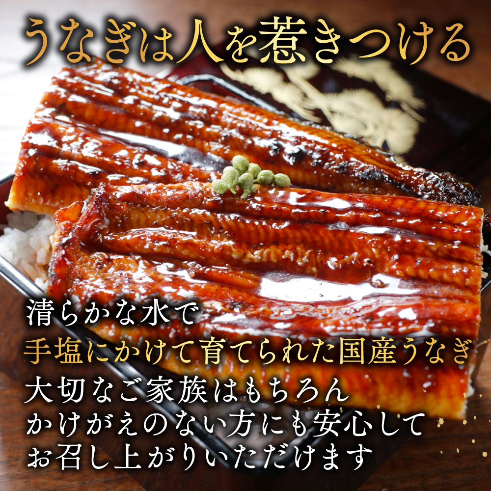 国産 希少 超極大 特上うなぎ(290g×5尾)