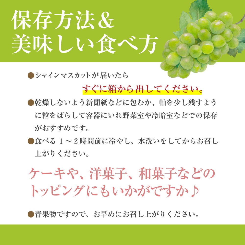 【2025年9月上旬から発送！】山梨県産シャインマスカット　１kg箱(2房程度)　丹澤農園[5839-1994]