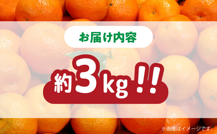 【2025年11月下旬～発送】【高糖度】温州みかん 約3kg / みかん ミカン 蜜柑 果物 フルーツ / 南島原市 / 南島原果物屋 [SCV021]