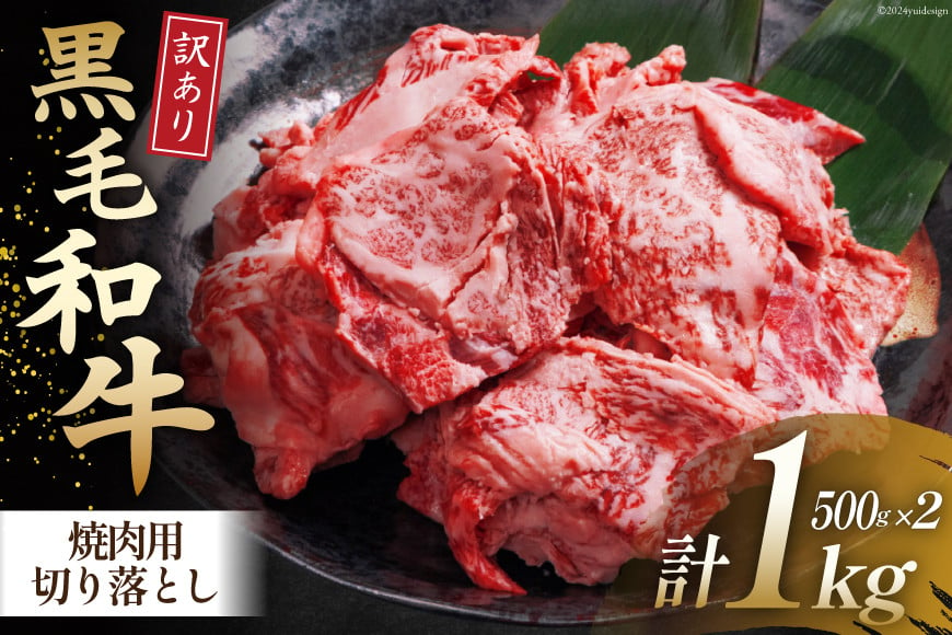 
牛肉 訳あり 宮崎県産黒毛和牛 焼き肉用切り落とし 500g×2 計1kg[ウィズ・クリエイティブ 宮崎県 日向市 452060765] 冷凍 小分け 数量限定 不揃い 牛 和牛 黒毛和牛 切り落とし
