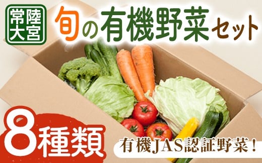 コトコトファーム 旬の有機栽培野菜セット 野菜 セット 有機JAS 詰め合わせ 国産 旬 季節 おまかせ お楽しみ 冷蔵 【コトコトファーム】【ho1602】