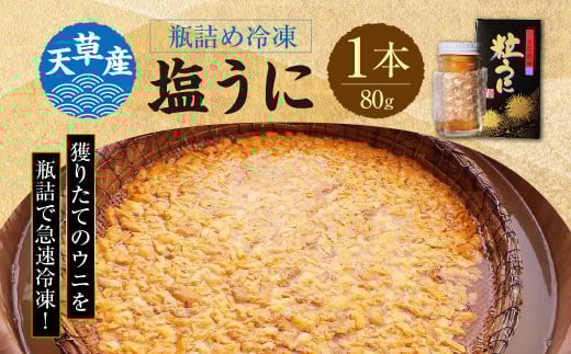 瓶ウニ 1本 80g うに ウニ 雲丹 塩雲丹 塩ウニ 瓶詰め うにびん 冷凍