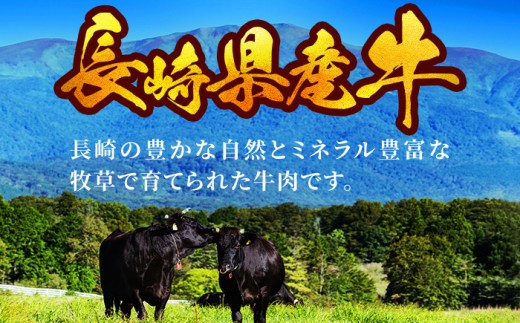 【希少部位】長崎県産牛 ヒレステーキ 約720g(120g×6枚) 牛肉 冷凍【田中精肉店】 ステーキ ヒレ ひれ フィレ ヒレ肉 ひれ肉 ヒレステーキ ひれすてーき 6枚 長崎 九州 ステーキ肉 5