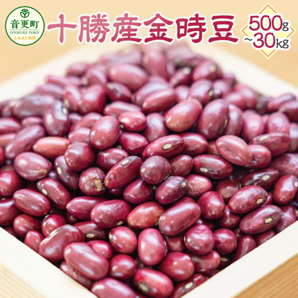 【ふるさと納税】【令和6年産】 「JAおとふけ」金時豆 ＜選べる容量＞ 500g 1kg 2kg 5kg 10kg 30kg 金時豆 きんときまめ 豆 お豆 まめ 生豆 料理 食物繊維 ポリフェノール 十勝 常温 北海道 音更町 送料無料