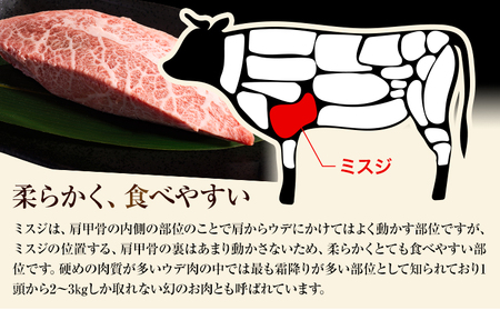 【厳選希少部位】【A4～A5】くまもと黒毛和牛 ミスジステーキ 約1kg(100g×10p)《30日以内に出荷予定(土日祝除く)》熊本県 大津町 黒毛和牛 肉 お肉 和牛 牛 牛肉 A5 A4 希少部