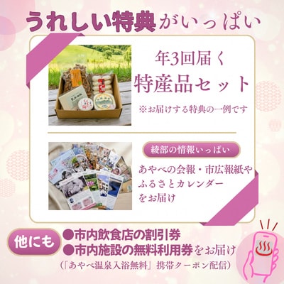 京都・綾部のふるさと応援団「あやべ特別市民」会員券【1091308】
