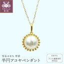 【ふるさと納税】 ペンダント ネックレス レディース ジュエリー アクセサリー アコヤ真珠 パール K18 イエローゴールド 半円 ジュエリーケース付 ギフトバック付 保証書付 k102-089