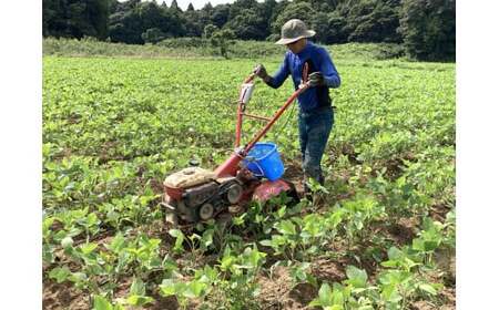 農家が作る自然栽培・無添加ジェラート12個(KW-16)
