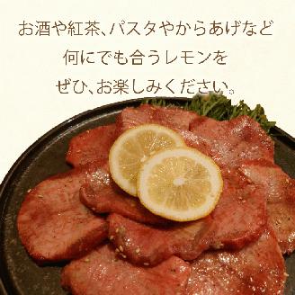 【先行予約】 レモン 約 1.5kg 12個 檸檬 フルーツ 果物 くだもの 柑橘 国産 新鮮 減農薬 ノンワックス 防腐剤 不使用 皮ごと 牡蠣 かき 魚 さかな 肉 にく スイーツ パスタ みかん