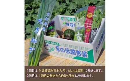 【野菜 定期便12か月】選りすぐり京野菜 旬の野菜定期便12ヶ月 野菜定期便
