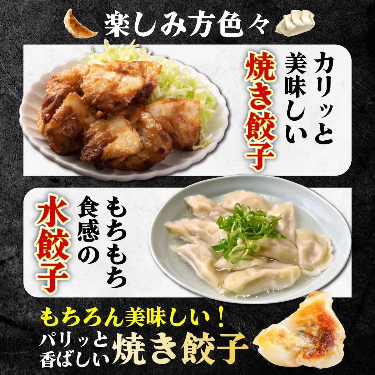  冷凍 博多一口餃子 25個入り×10パック