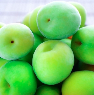 手もぎ 青梅 南高梅 20kg L～2Lサイズ 谷本農園