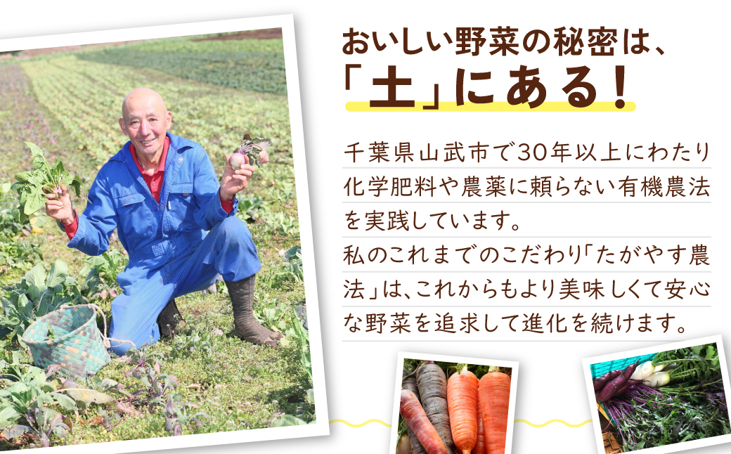 有機農業の第一人者 たがやす倶楽部 齊藤 完一さんの「季節の野菜セット」  SMCL001