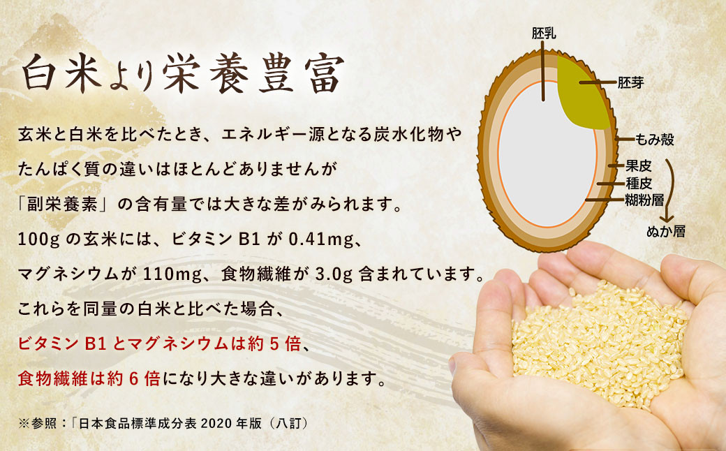 【12ヶ月定期便】夢つくし 玄米 PREMIUMパック 24パック×12回