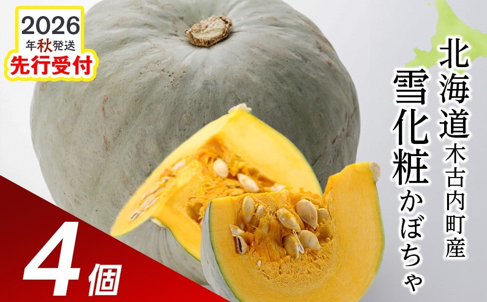 
            <2026年秋発送>【秋山農園】北海道産　かぼちゃ雪化粧　4個入り
          