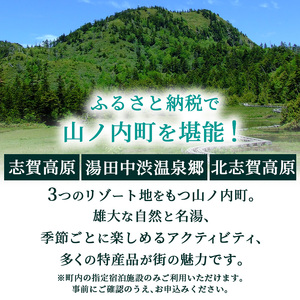 山ノ内町内宿泊補助券（30枚）1年間有効 150,000円分 旅行 宿泊券 ホテル 旅館 チケット 宿泊 補助券 志賀高原 湯田中渋温泉郷 北志賀高原 地獄谷野猿公苑  温泉 ギフト 自然 観光 長野