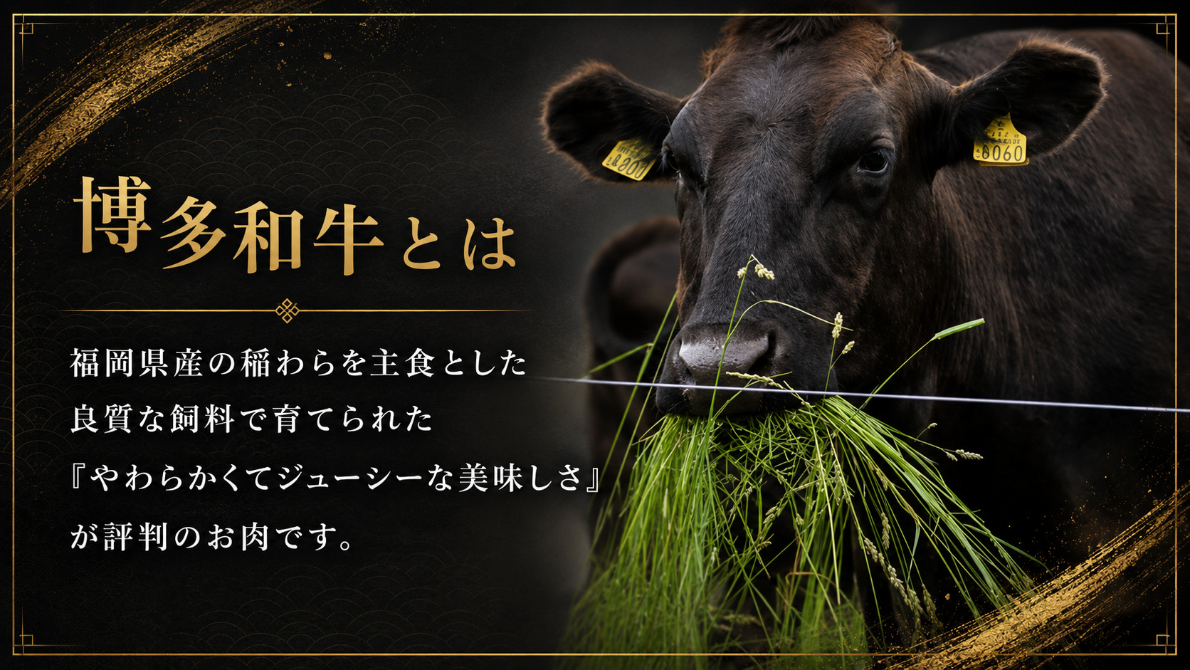 A5,4等級 博多和牛サーロインステーキ 200g×2枚 計400g [M1005]