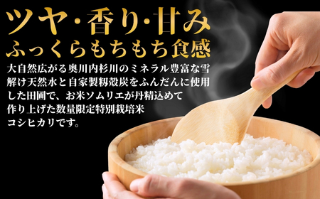 【先行予約】令和8年産 五泉市産 特別栽培米 コシヒカリ 5kg(5kg×1袋)