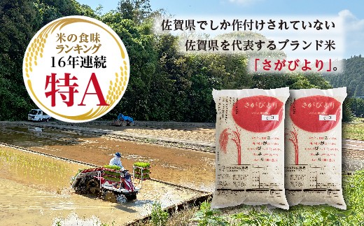 はがくれ農園のさがびより ※画像はイメージです