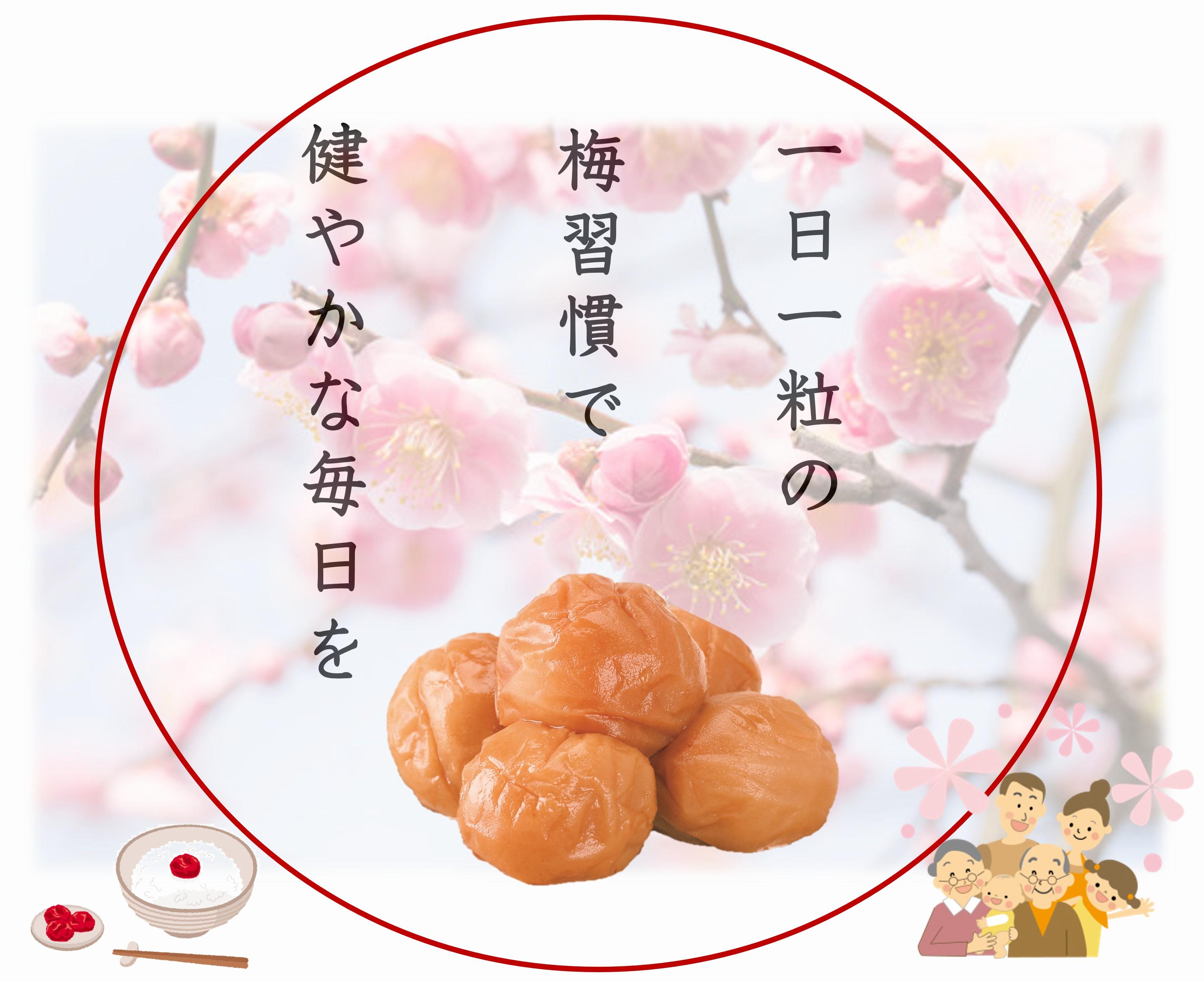 紀州南高梅 プレミアム 塩分約3％ 500g ［YM11m］ A-094a