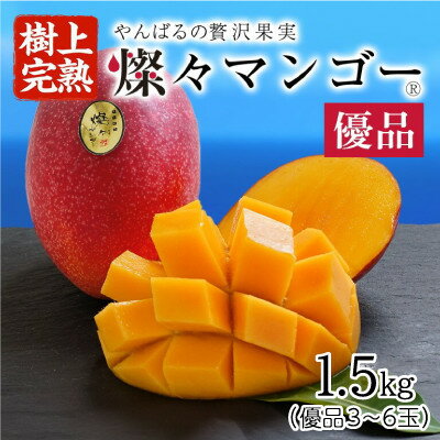 【ふるさと納税】【2025年発送・優品】燦々マンゴー1.5kg(3～6玉)【配送不可地域：離島】【1619778】