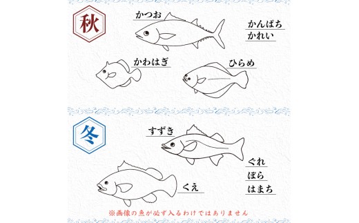 【魚屋のプロが厳選！】 鮮魚 BOX 4kg 4kg