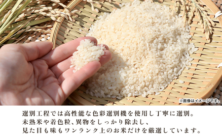 新米＜令和8年産 コシヒカリ 5kg＞国産 愛媛県産 宇和町産 宇和米 こしひかり お米 米 コメ こめ 白米 精米 ご飯 新鮮 5キロ 特産品 大塚農園 愛媛県 西予市【常温】『2026年10月・1