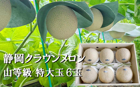 メロン クラウン 上 特大玉 6玉入り フルーツ 果物 メロン