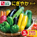 【ふるさと納税】信州・むすび野菜　にぎやかセット　旬 野菜を約10種お届け 定期便3回