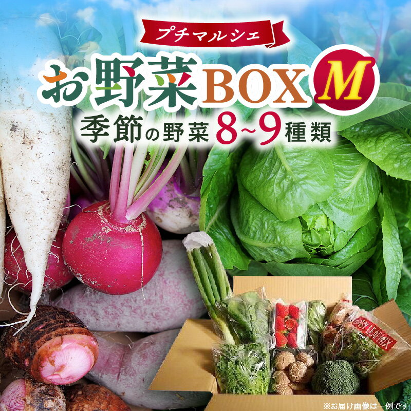 【ふるさと納税】プチマルシェお野菜ボックス(M)　季節の野菜8〜9種類　≪　IDOMALL　セレクト≫ 野菜 新鮮 冷蔵 旬 香川県 野菜ボックス 季節の野菜 青果物 季節 マルシェ 冷蔵 おすすめ