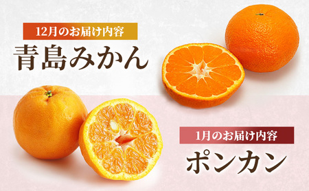 みかん 河津町 旬のみかん セット 果物 フルーツ みかん