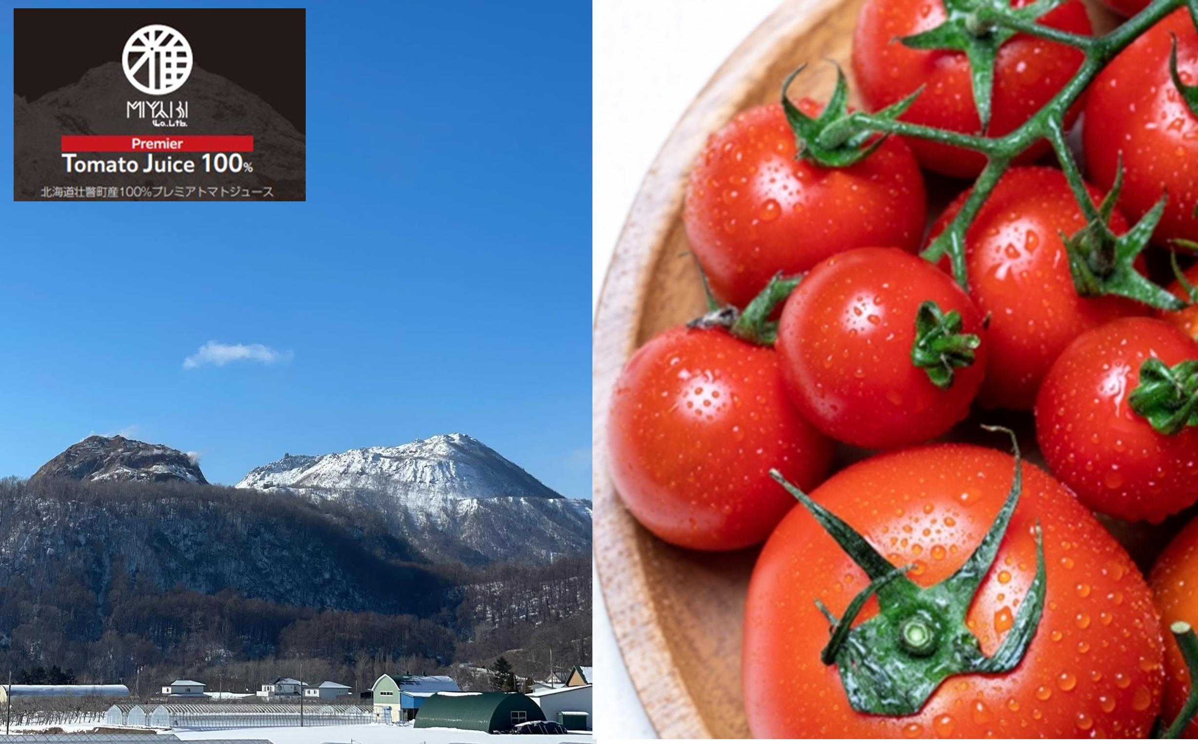 無添加トマトジュース（ストレート）260ml×2本【プレミア2本】 SBTAK005