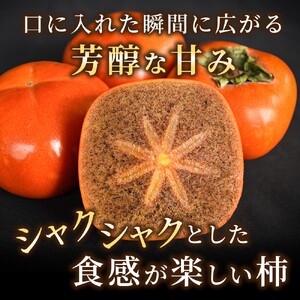 先行予約！  紀の川柿 （果実の中身が黒い！黒蜜柿）希少栽培！ 秀品６個～９個  こだわり農家厳選！【※2026年10月上旬から11月上旬頃発送】/ 和歌山県 かつらぎ町 カキ 柿 太秋柿 紀ノ川柿 