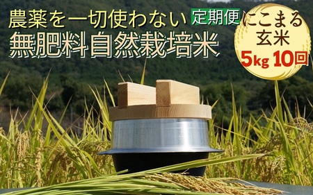 自然栽培米 にこまる 玄米 定期便 5kg×10回
