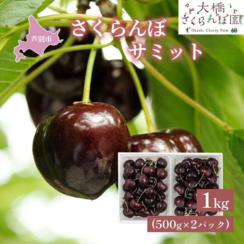 【ふるさと納税】【 先行受付 】さくらんぼ サミット 1kg 500g×2パック 農林水産大臣賞 受賞 サクランボ チェリー 果物 果物類 フルーツ デザート 大粒 肉質 希少 北海道 芦別市　お届け：2026年7月下旬頃～
