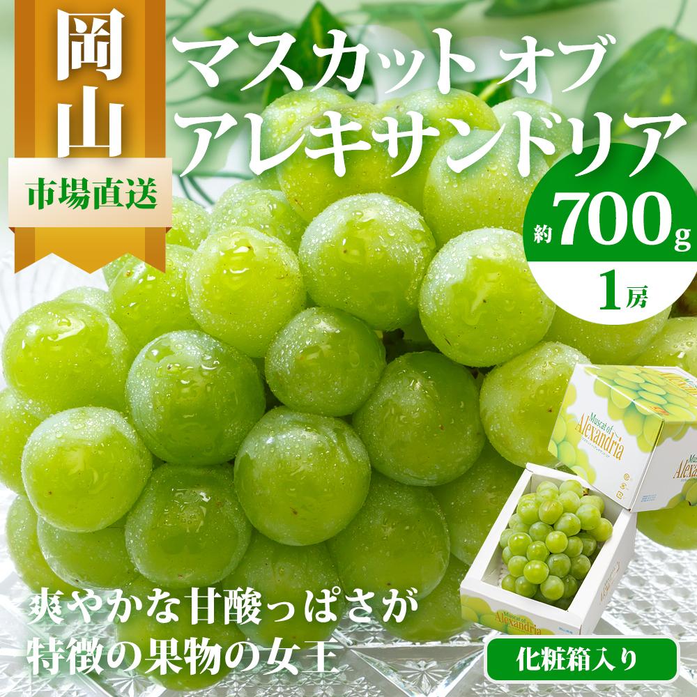 【ふるさと納税】ぶどう 2026年 マスカット ・オブ・アレキサンドリア 1房 700g以上 化粧箱入り マスカット ブドウ 葡萄 岡山県産 国産 フルーツ 果物 ギフト | フルーツ 果物 くだもの 食品 人気 おすすめ