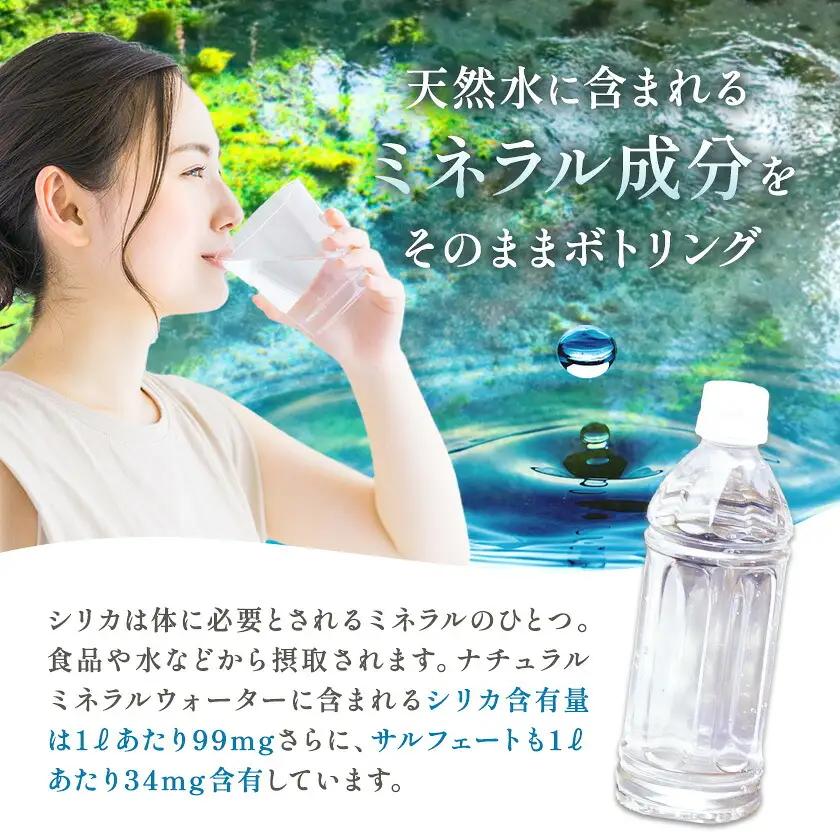 【12ヶ月定期便】サクラシリカ 500ml 16本 みずの里