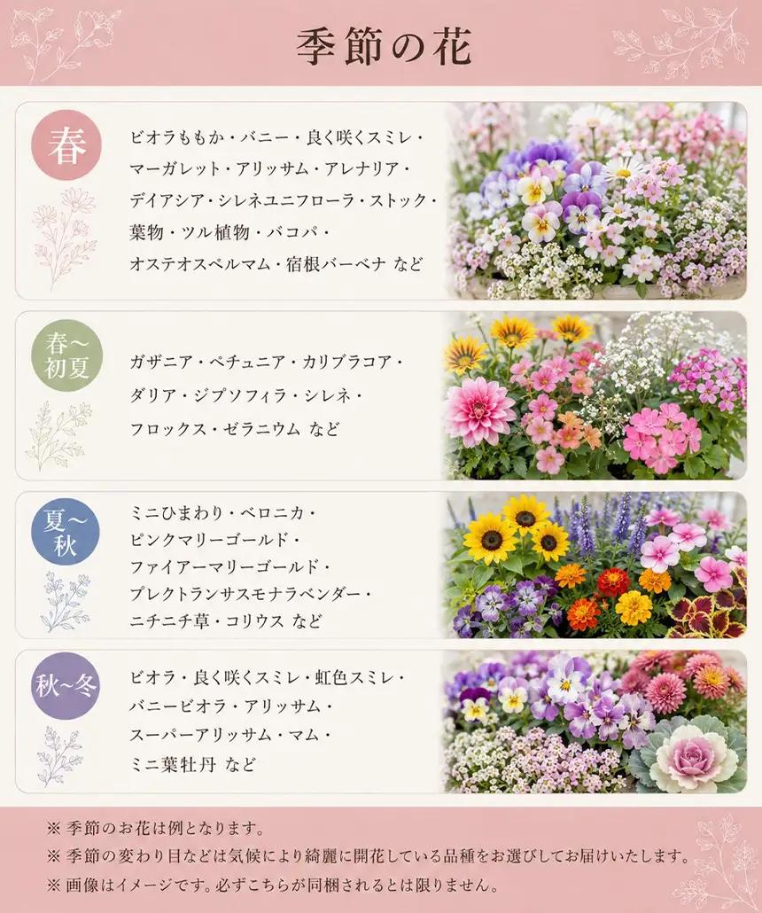 お花一杯バスケット寄せ植え Lサイズ(35cm程度) 季節の寄せ植え | お花 フラワー バスケット ガーデニング 寄せ植え 兵庫県 上郡町