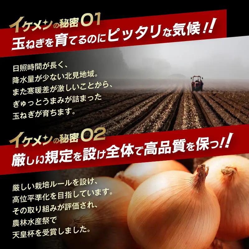  【予約：2026年9月上旬から順次発送】JAきたみらい産 玉ねぎ Lサイズ 10kg ( タマネギ たまねぎ 野菜 )【210-0003-2026】