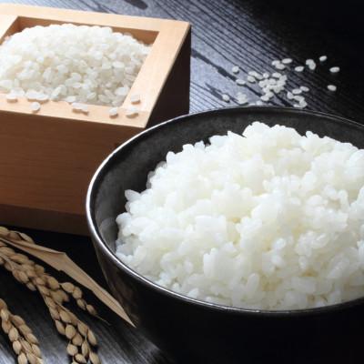 ふるさと納税 養父市 【毎月定期便】【蛇紋岩ブランド　別格米120kg】全12回 |  | 01
