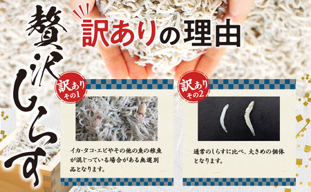 【しらす干し】訳ありしらす 2kg 美味しいシラス