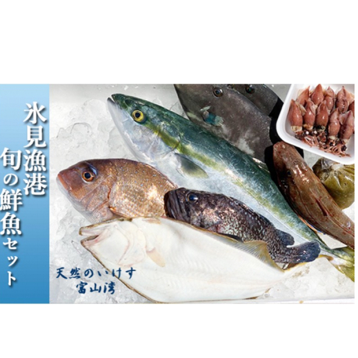天然のいけす 富山湾 氷見漁港 旬の鮮魚セット※配送地域限定