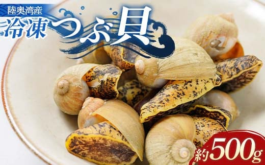 
            青森県 陸奥湾産 冷凍つぶ貝 約500g 【琉宝丸】 漁師直送 煮つぶ つぶ貝 ツブ貝 モスソ貝 モッソ貝 アヒージョ 貝 刺身 海鮮 魚介類 魚介 平内 東北 むつ湾 F21J-250
          