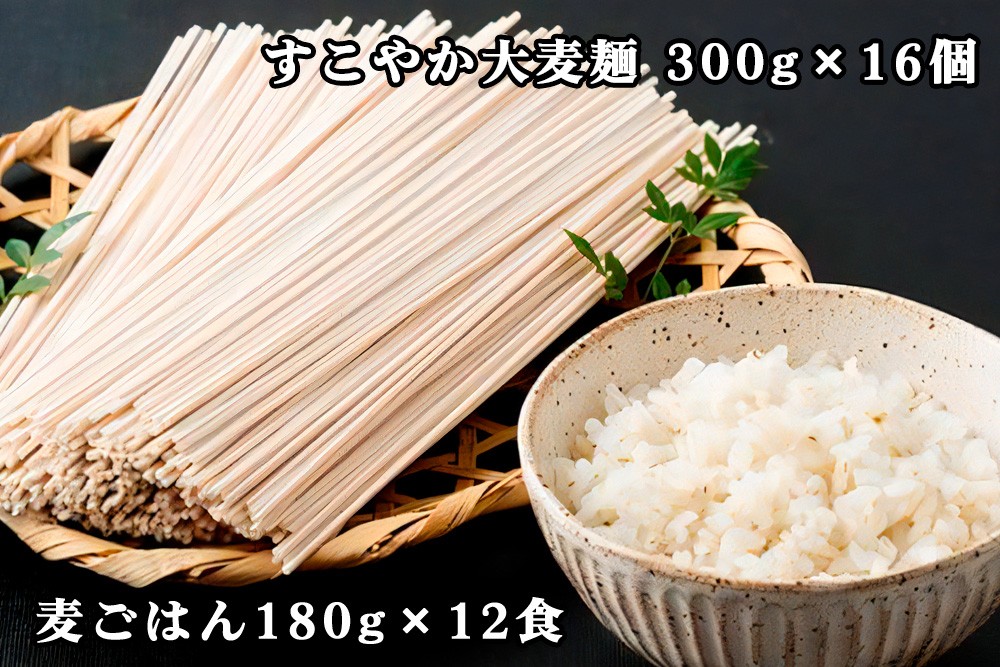 
                  濱田の大麦セット 食物繊維たっぷり！美味しく食べて 健康増進｜大麦 麦ごはん 麺 無添加 セット ギフト 贈りもの 健康 食物繊維 [0137]
                
