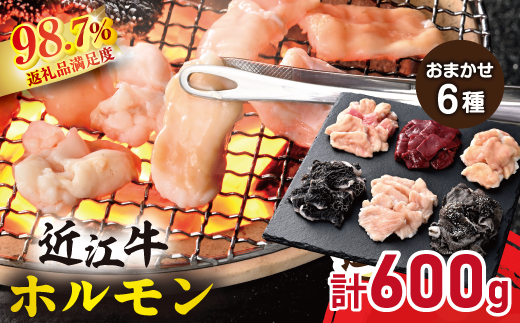 【カメチク】近江牛ホルモンおまかせ６種類【FK06W】
