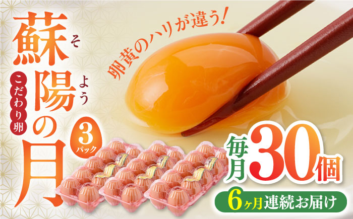 
【全6回定期便】蘇陽の月 30個入り ( 10個入り × 3パック ) 熊本県産 山都町 たまご 卵 玉子 タマゴ 鶏卵 オムレツ 卵かけご飯 朝食 料理 人気 卵焼き【蘇陽農場】[YBE019]
