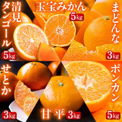 ふるさと納税 八幡浜市 【発送月固定定期便】「蜜時(みつどき)便り」みかんやまどんな、甘平、せとかなど【H64-93】全6回