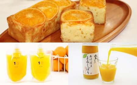 みかん三昧定期便（3ヵ月定期便）みかん ゼリー ギフトセット まどんな ケーキ 2本 ジュース みかんジュース 2本 常温 愛媛県（634）