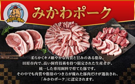 みかわポーク バラ肉 スライス 1kg 豚肉 スライス スライス肉 しゃぶしゃぶ 豚 ぶた ポーク スライス 冷凍 真空 真空パック 小分け 焼肉 焼き肉 豚汁 煮物 BBQ 渥美半島 愛知県 田原市